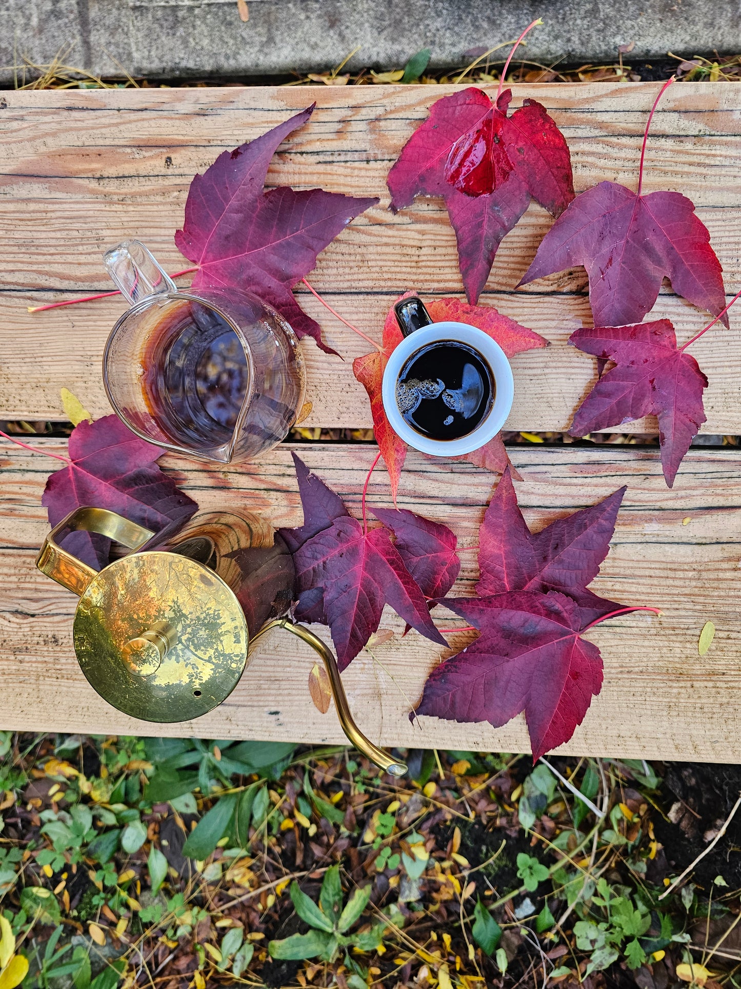 Golden Affection-Saffron Blend|Drip